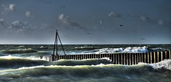 By Berit from Redhill/Surrey, UK (Green water, Seaford Uploaded by russavia) [CC-BY-2.0 (http://creativecommons.org/licenses/by/2.0)], via Wikimedia Commons