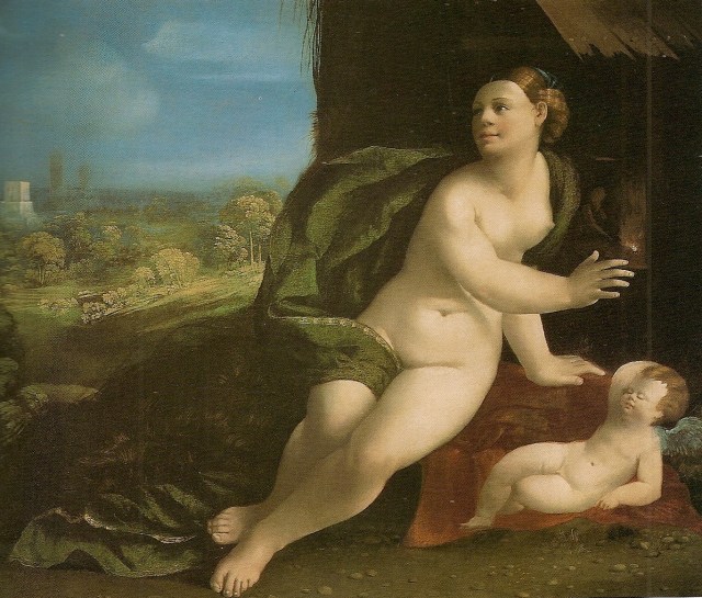 wikimedia free domain