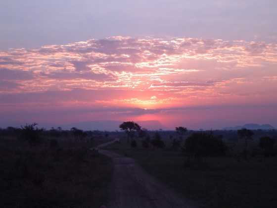 Wikimedia commons public domain