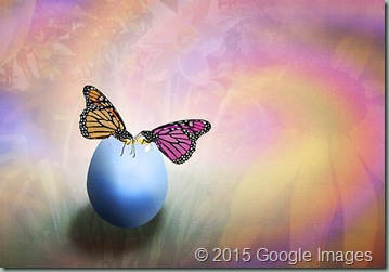 life-birth-and-rebirth