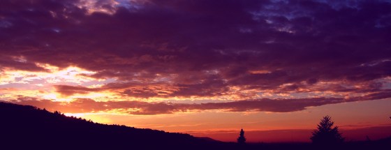 wikipedia pub domain